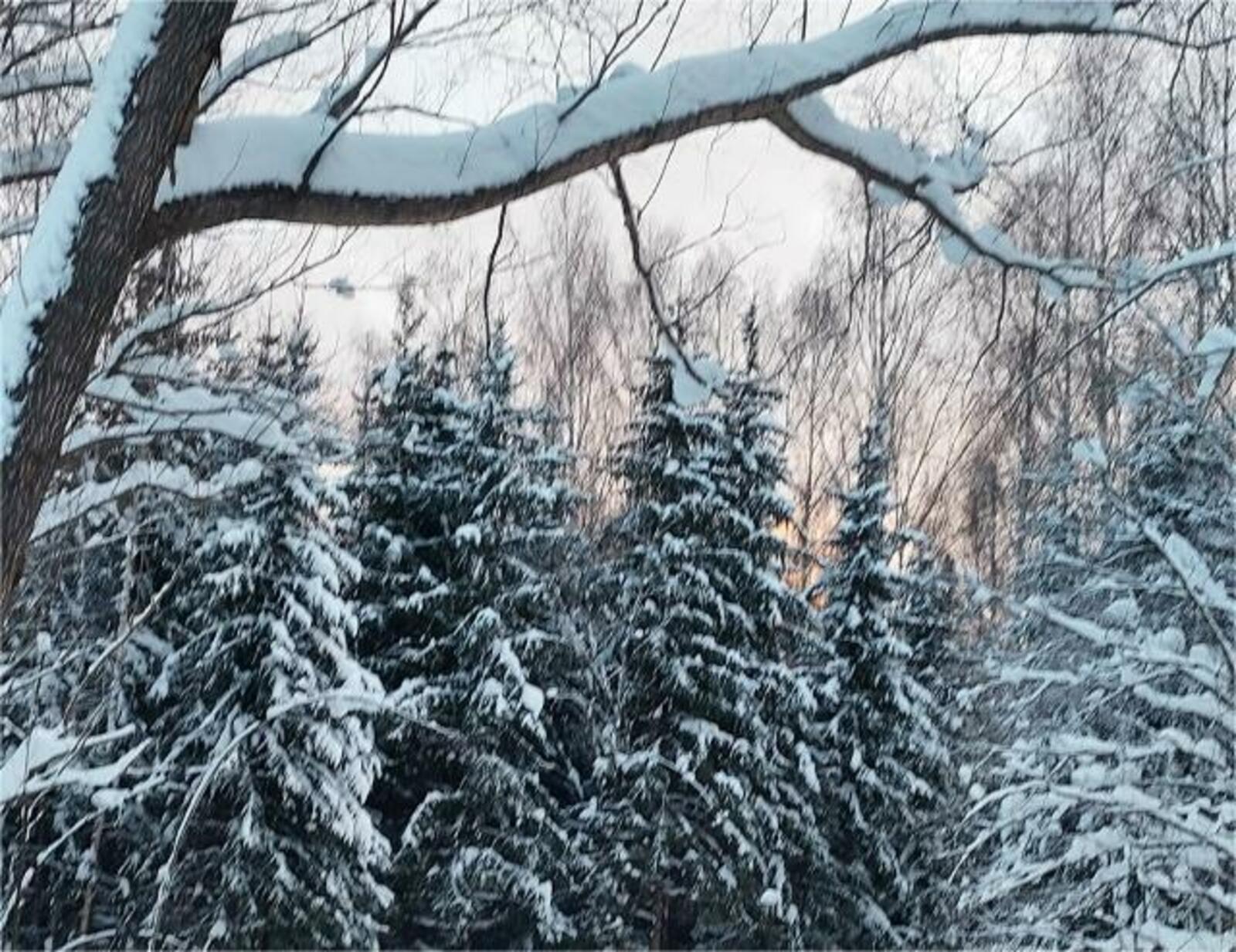 В зимних лесах Башкирии потерялись 11 человек