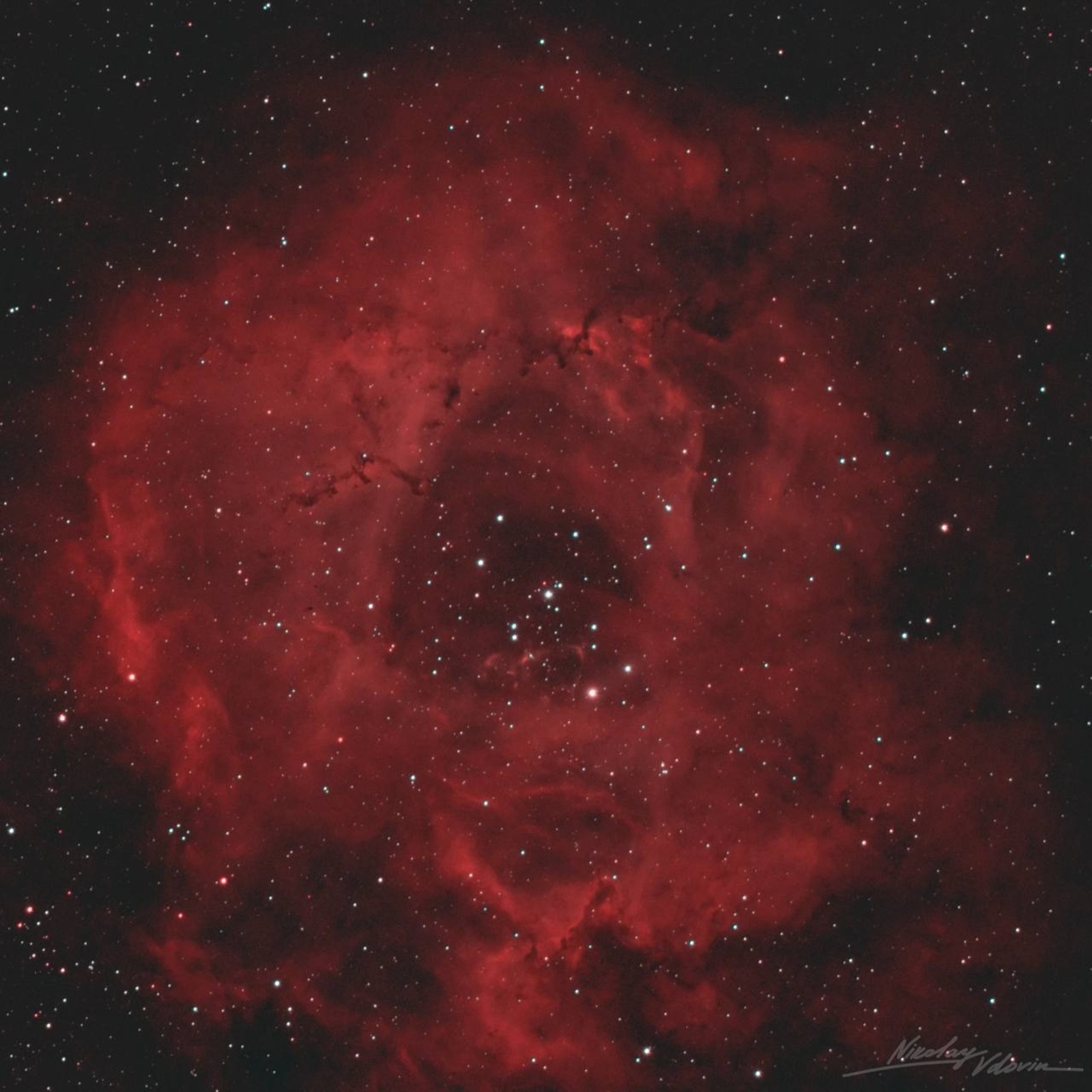 Российский астрофотограф запечатлел космические цветы к 8 марта