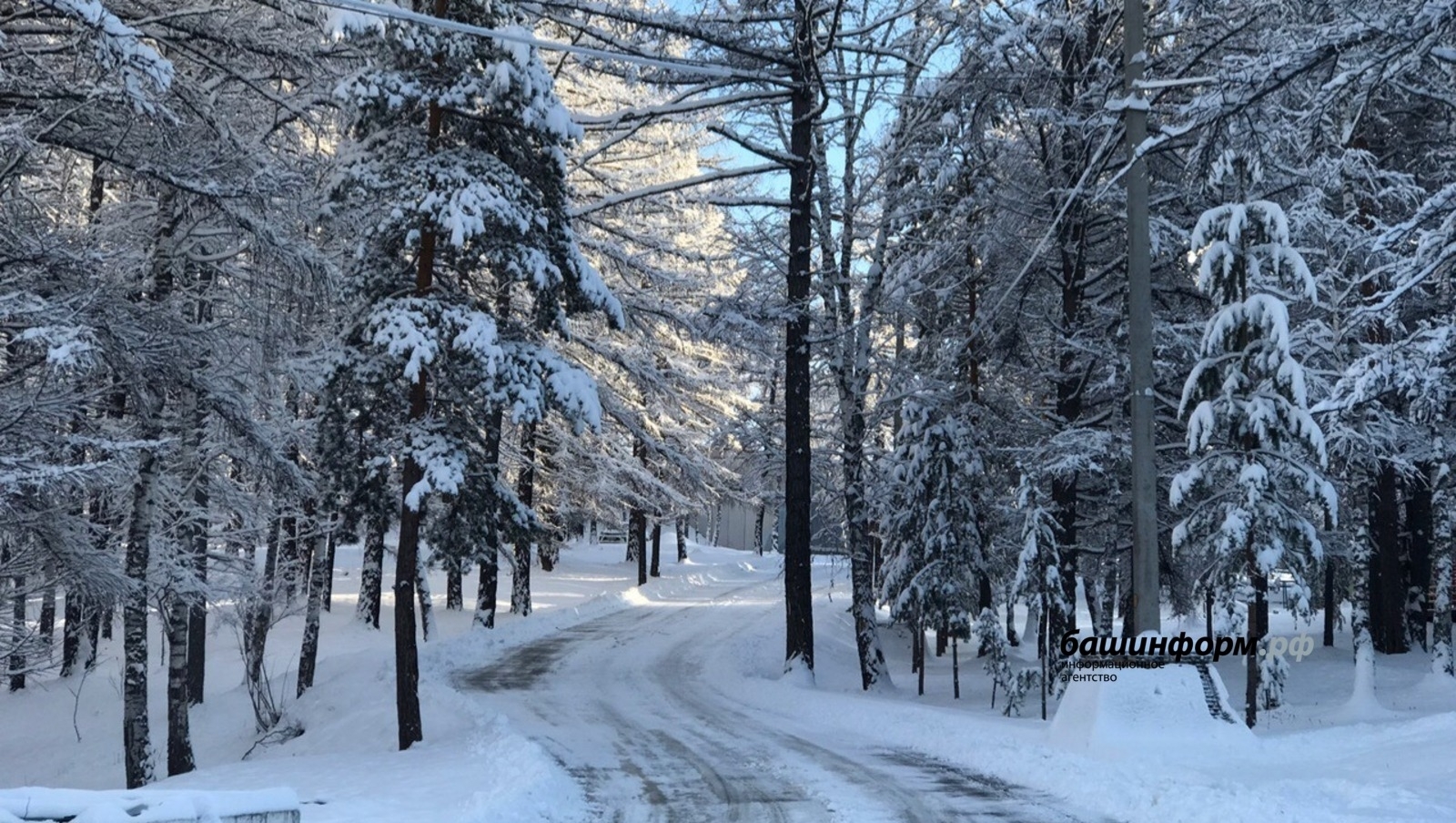 Жителей Башкирии предупредили о резком понижении температуры
