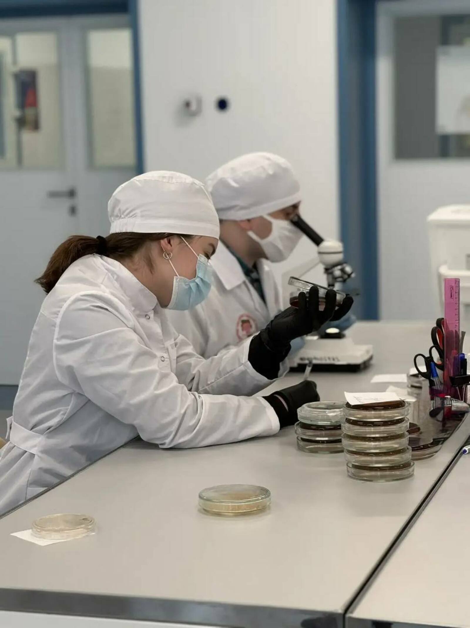 В Межвузовском кампусе создали тест для быстрого поиска «бактерии стройности"