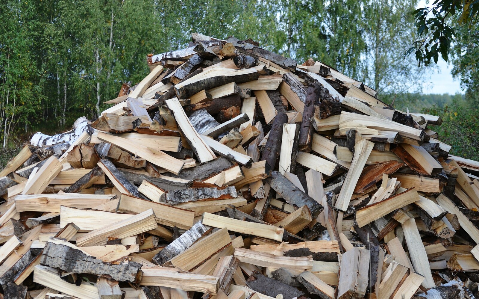 В Башкирии семьи участников СВО могут приобрести древесину для собственных нужд со льготой