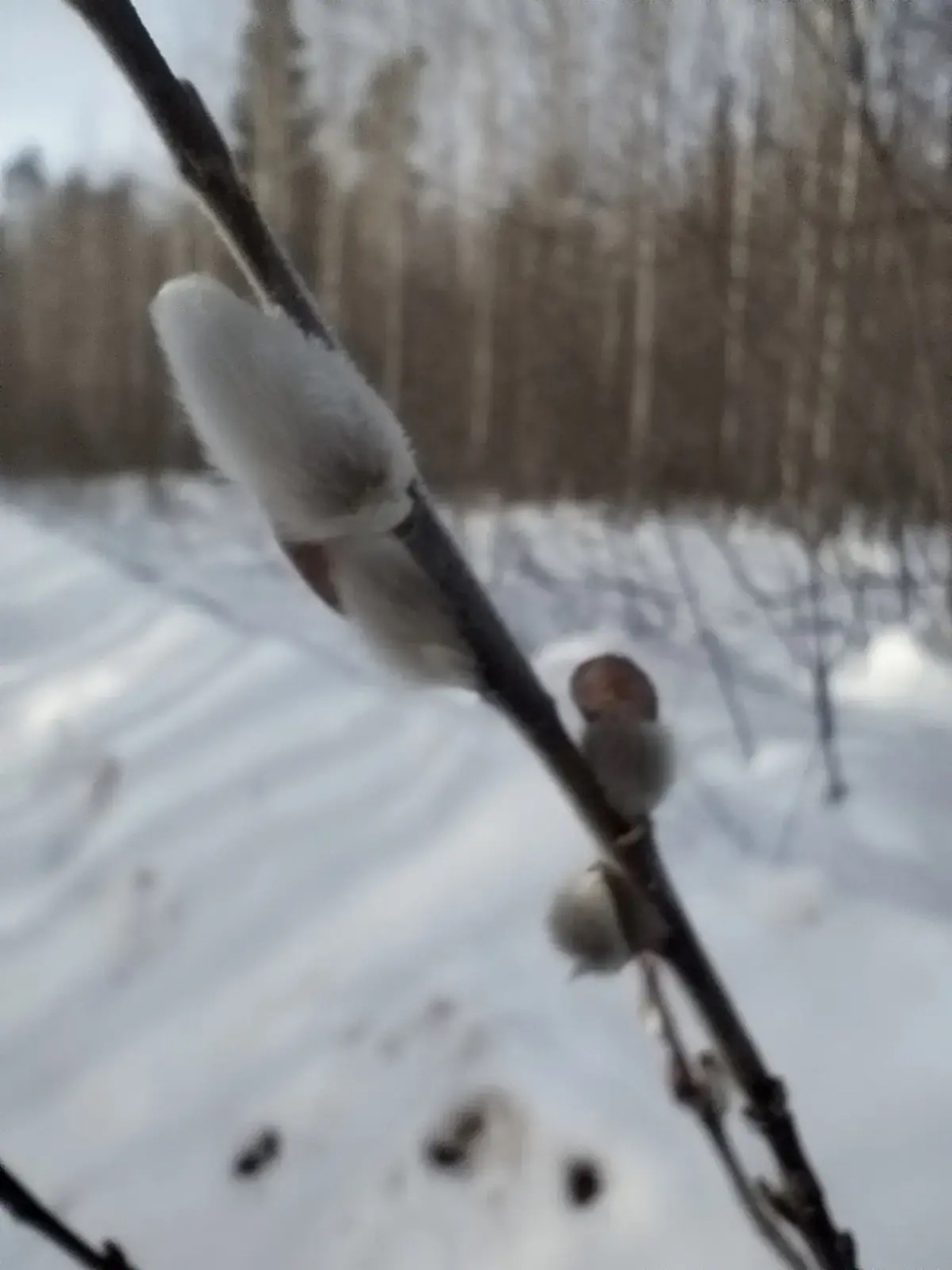 Синоптики сообщили о погоде в Башкирии на этой неделе