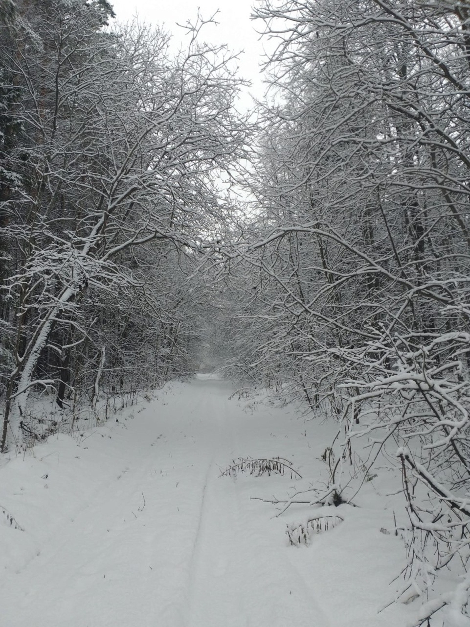 В Башкирии начались самые короткие световые дни в году
