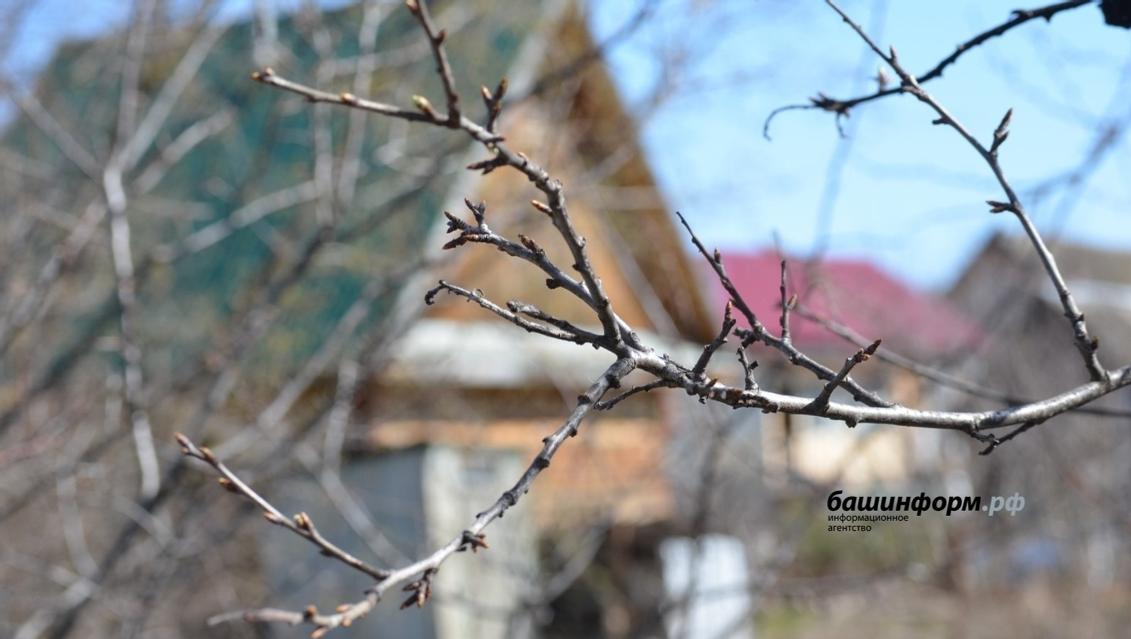 В Башкирии похолодает до -6 градусов