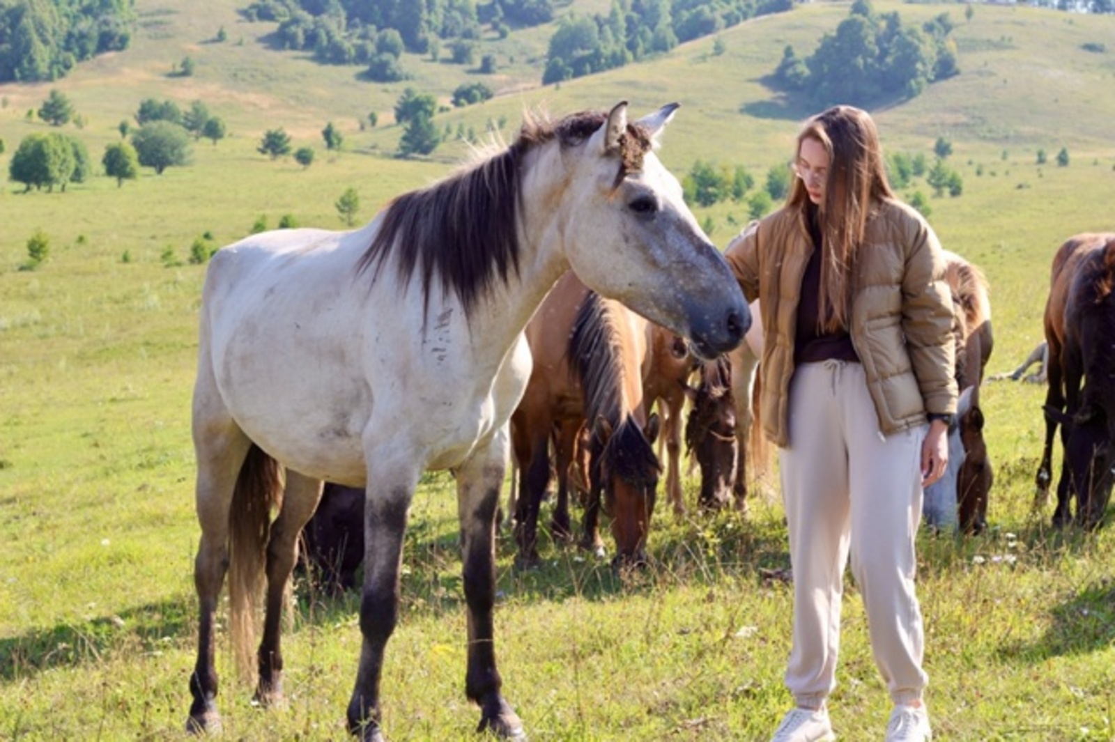 Глава Башкирии Радий Хабиров рассказал о конеферме из Калтасинского района