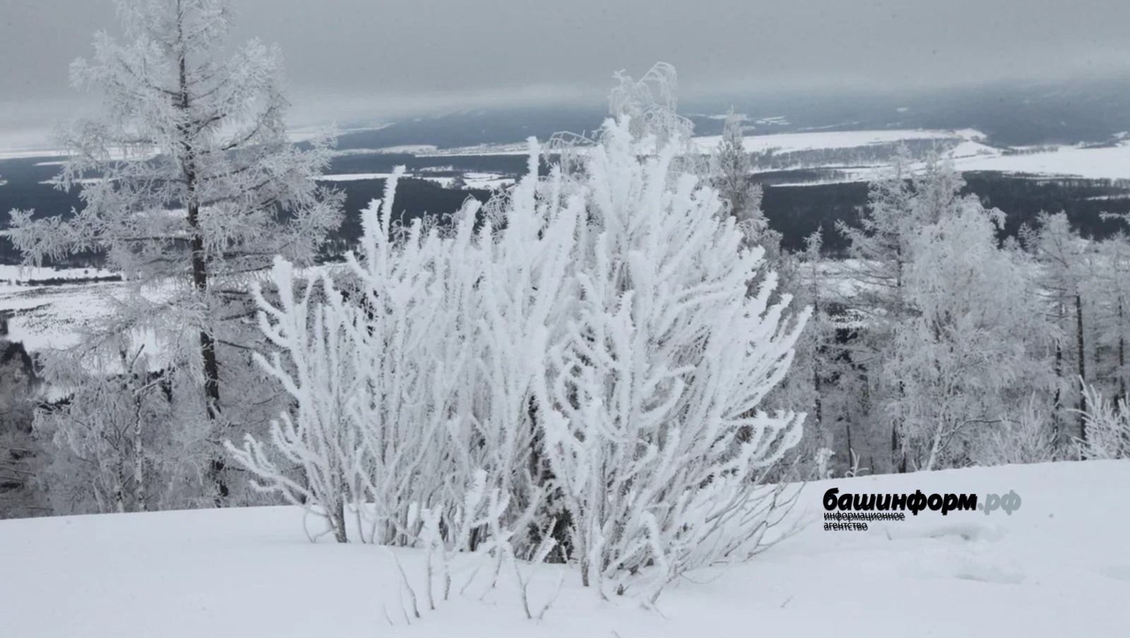 В Башгидромете сообщили о погоде в первые дни февраля