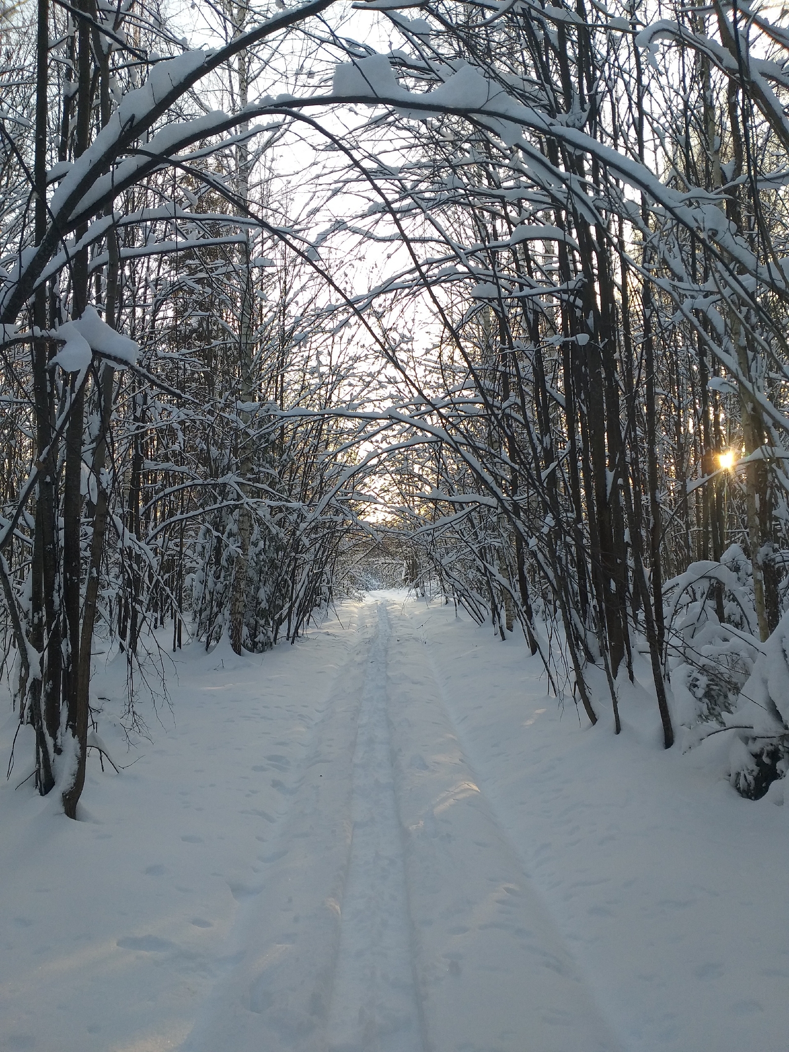 В Башкирии прогнозируется мокрый снег и гололедица