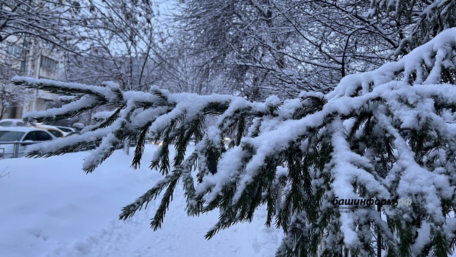 В Башкирии потеплеет до +4°