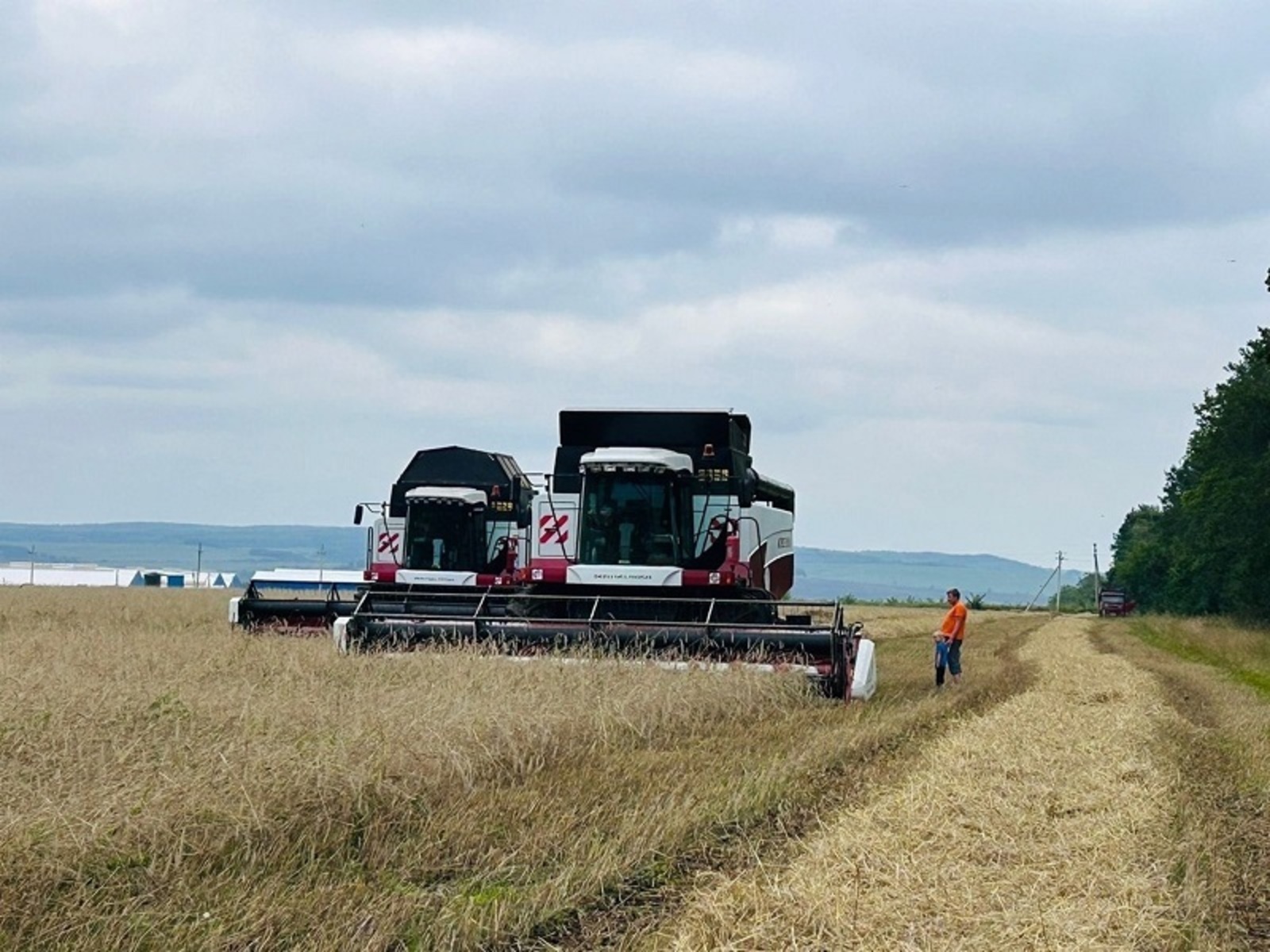 Хлеборобы Калтасинского района отрапортовали о завершении уборки зерновых