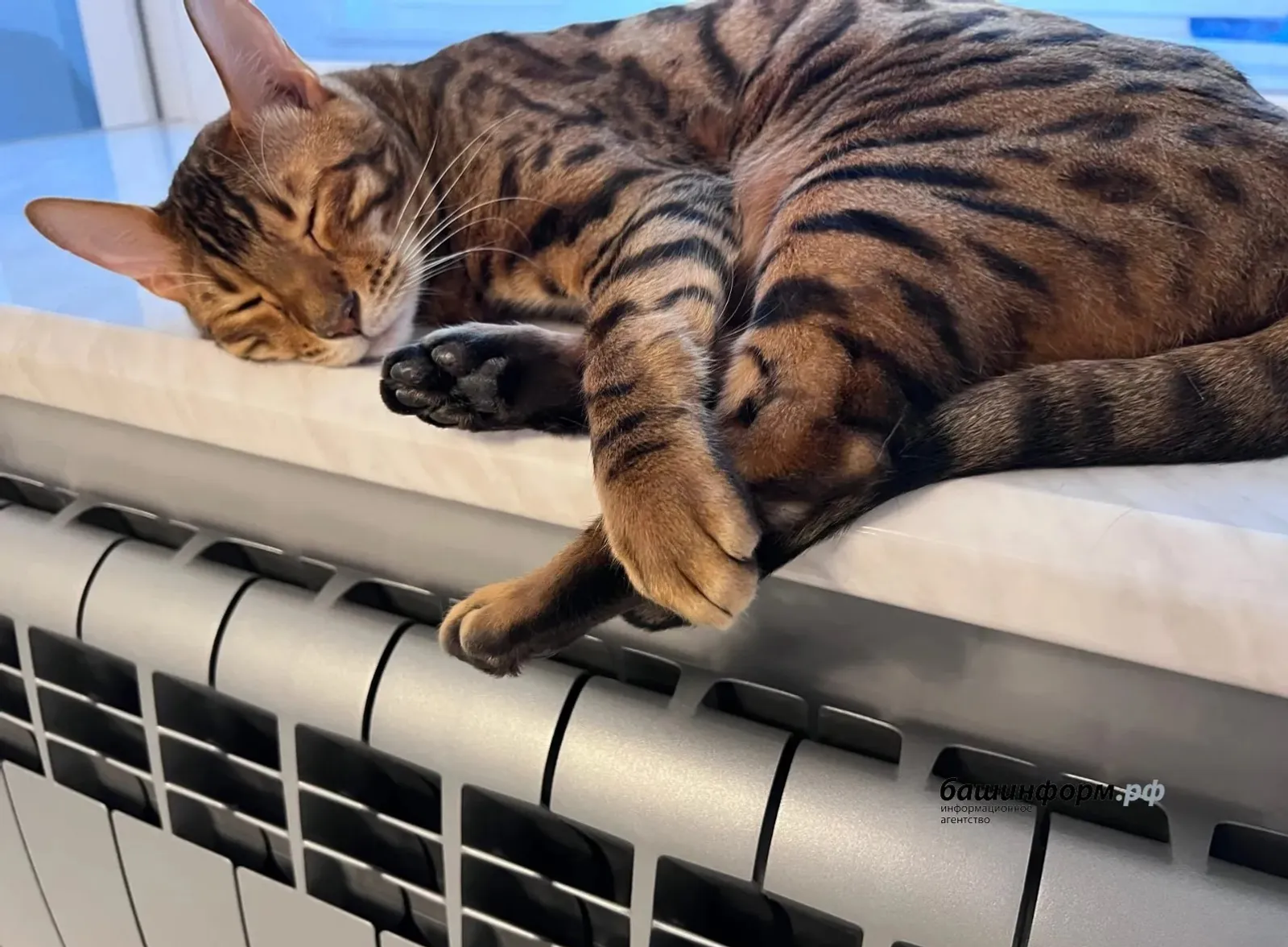 Отопительный сезон в Башкирии завершится к началу мая