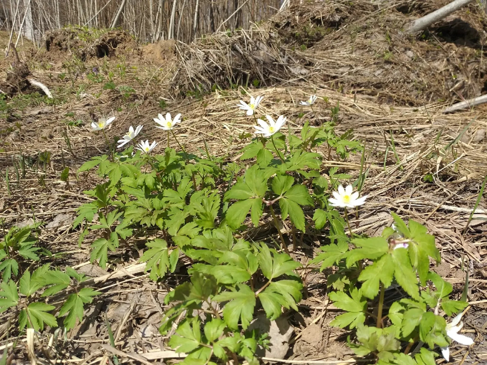 И снова +20°: жителей Башкирии ждёт очередное потепление