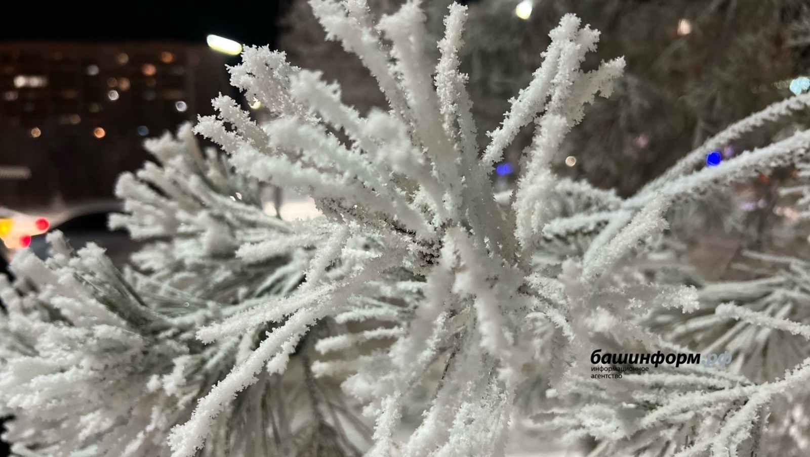 Ближайшие дни в Башкирии будут умеренно морозными