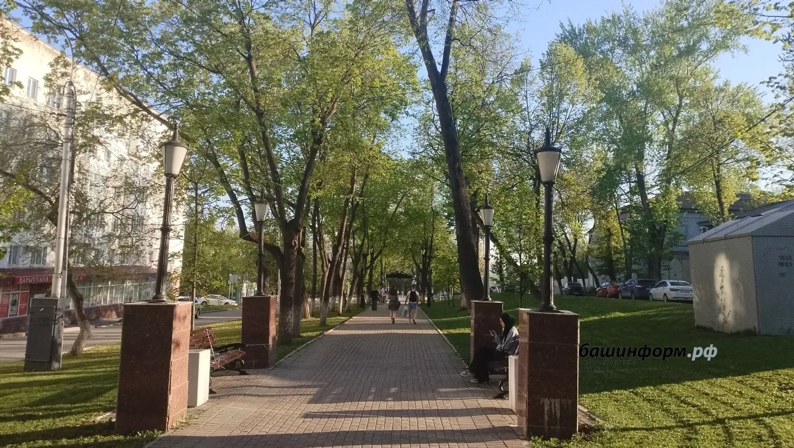 После холодных выходных синоптики прогнозируют потепление в Башкирии