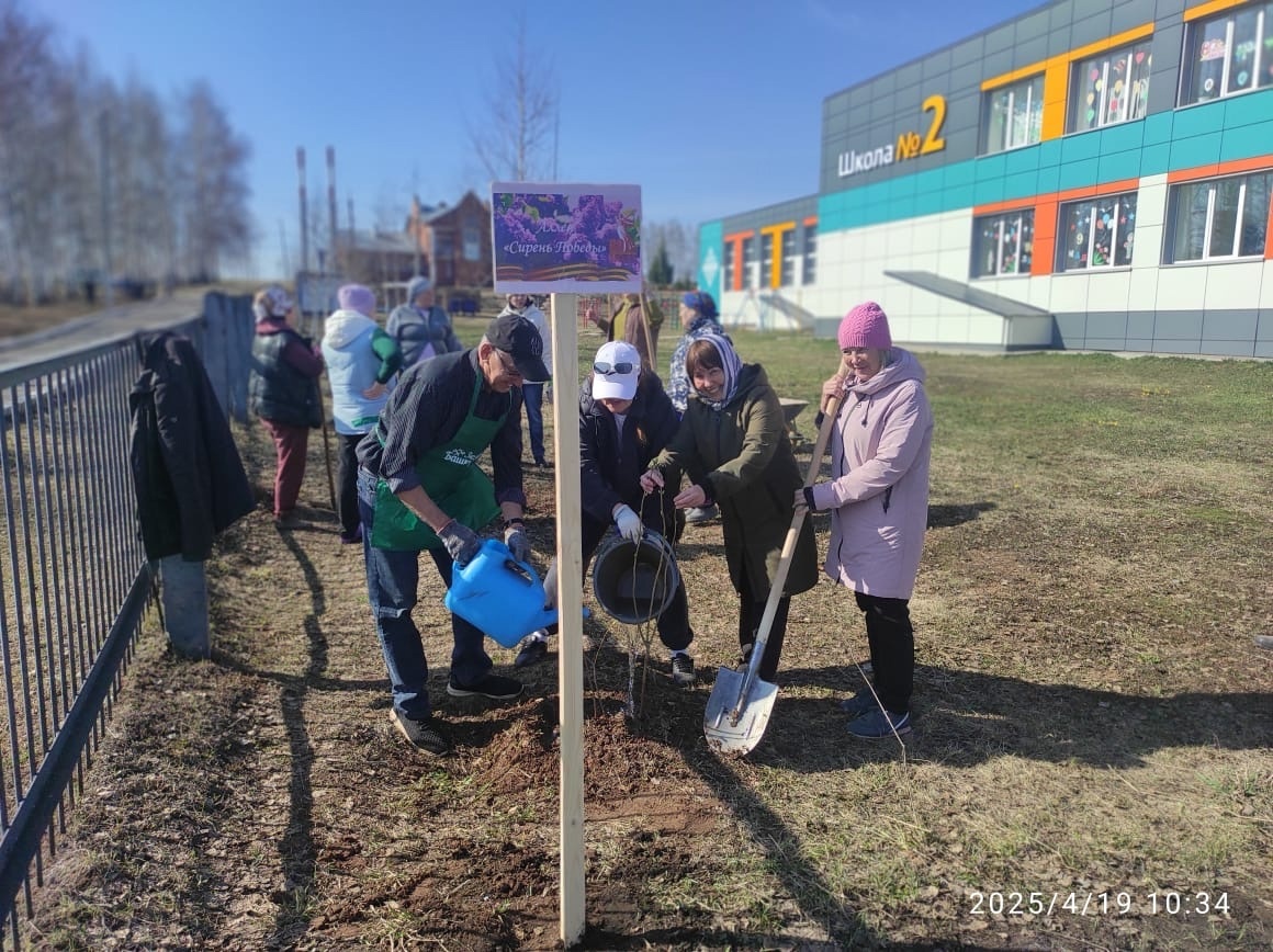 Аллея «Сирень Победы»