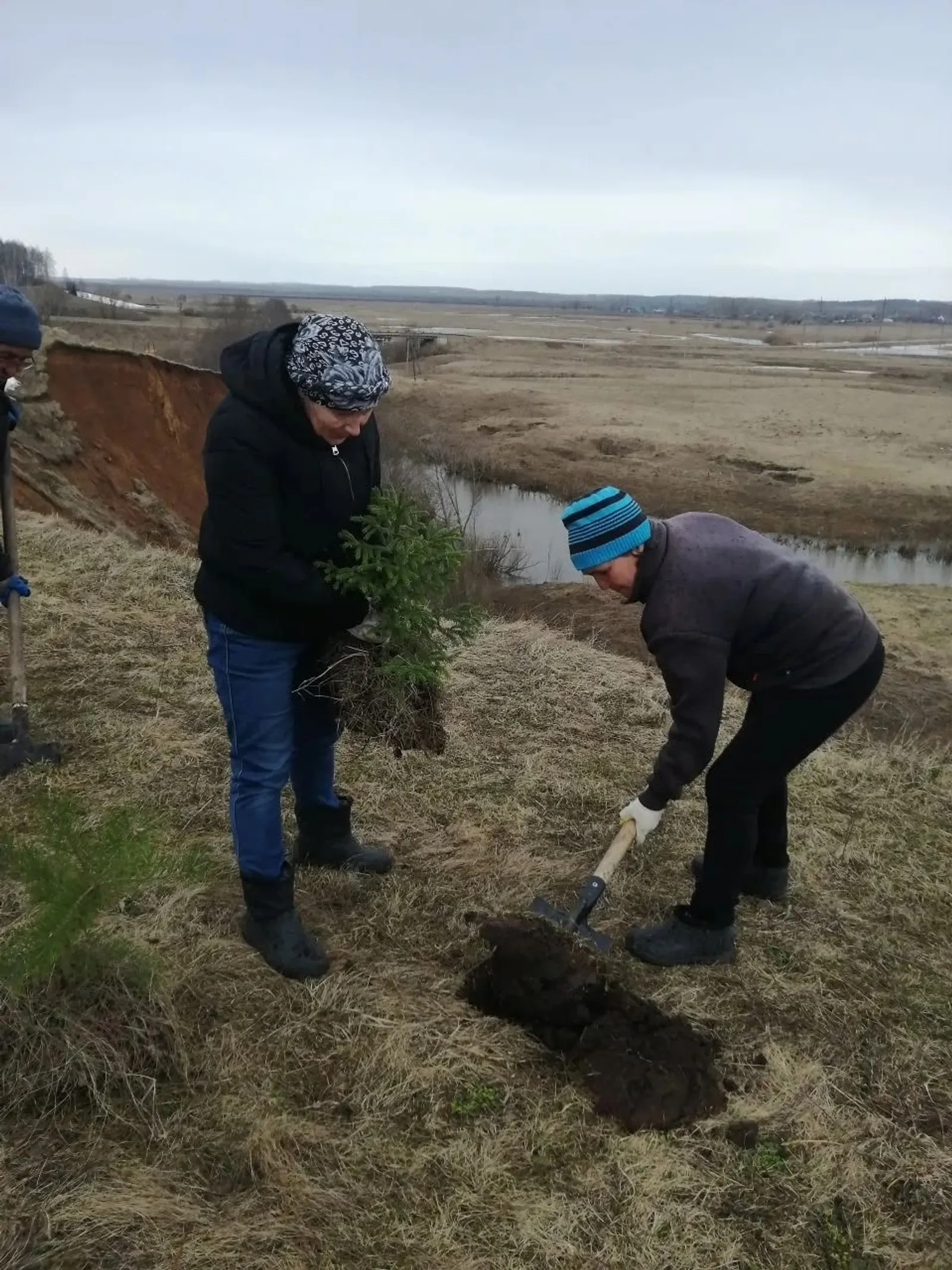Зашумит сосновый бор