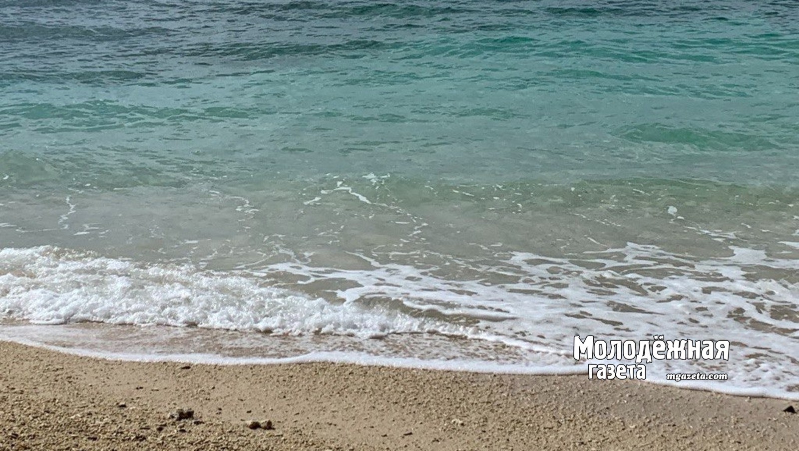 Как жителям Башкирии  получить путёвку в «Артек»