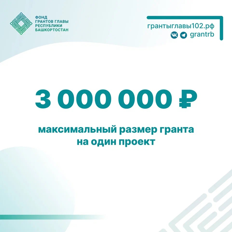 До трёх миллионов рублей – на реализацию своей инициативы