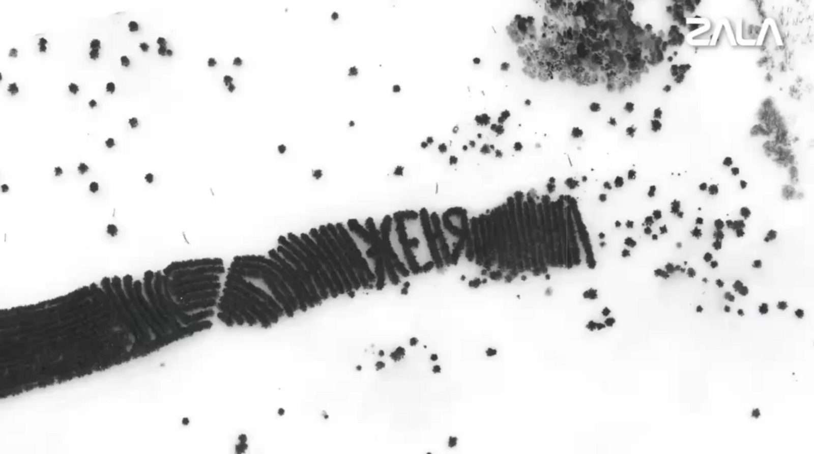 В Калтасинском районе обнаружили 70-метровое послание «Женя»