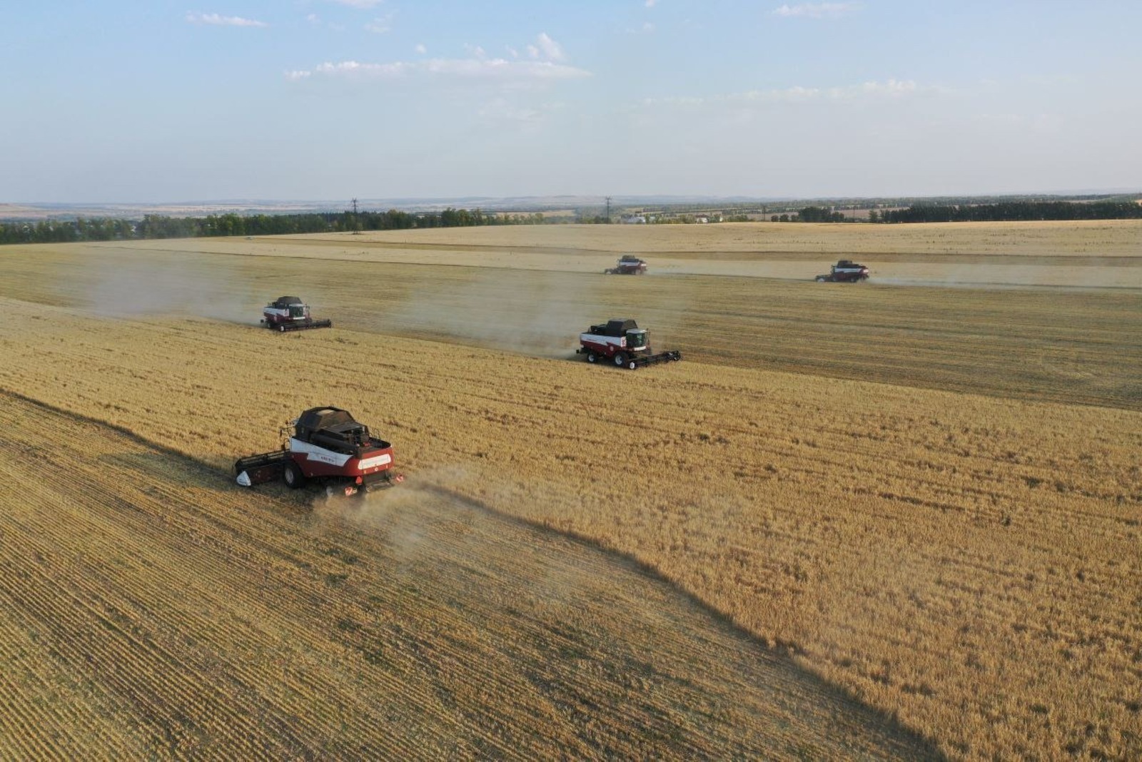 В 11 районах Башкирии объявили режим ЧС