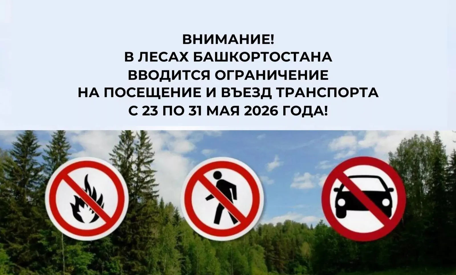 В лесах Башкирии вводится ограничение на посещение и въезд транспорта