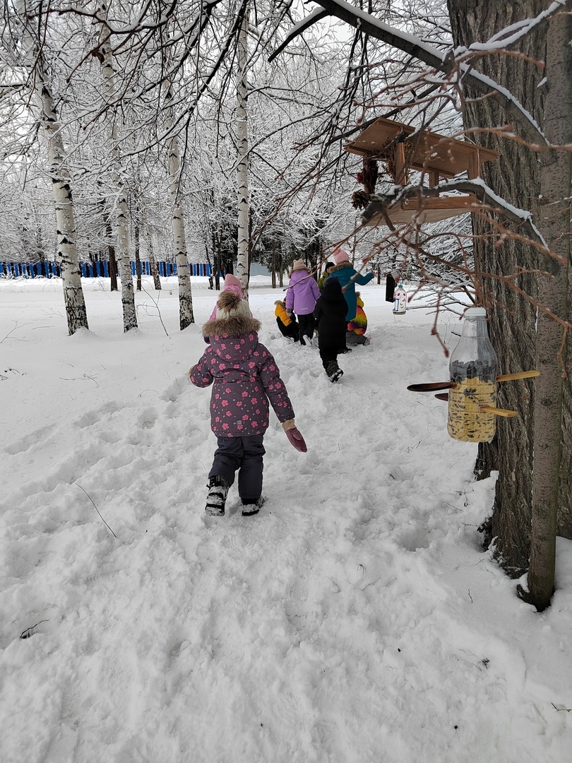 Учащиеся Калтасинской школы №1 приняли участие во Всероссийской акции «Покормите птиц зимой».