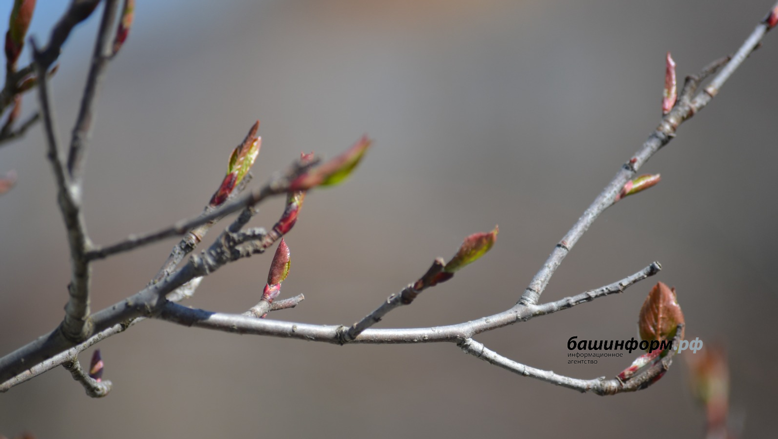 В Башкирии прогнозируется похолодание до -3°