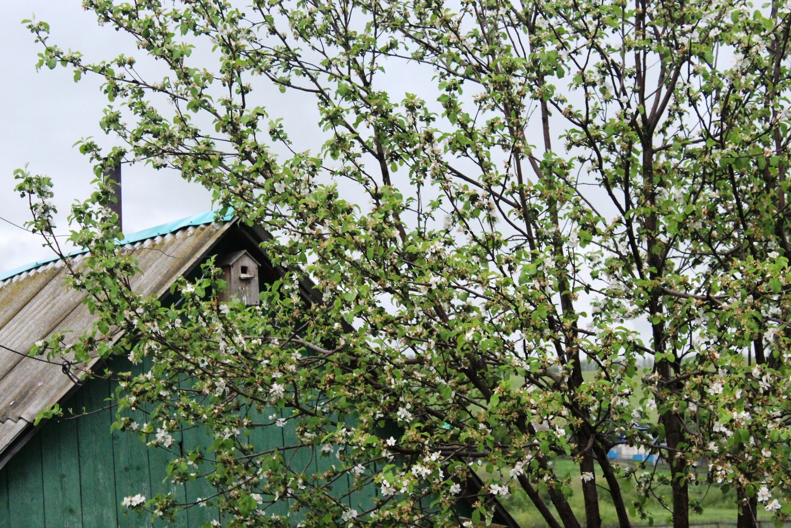 Жители Башкирии в майские праздники отдохнут всего 6 дней