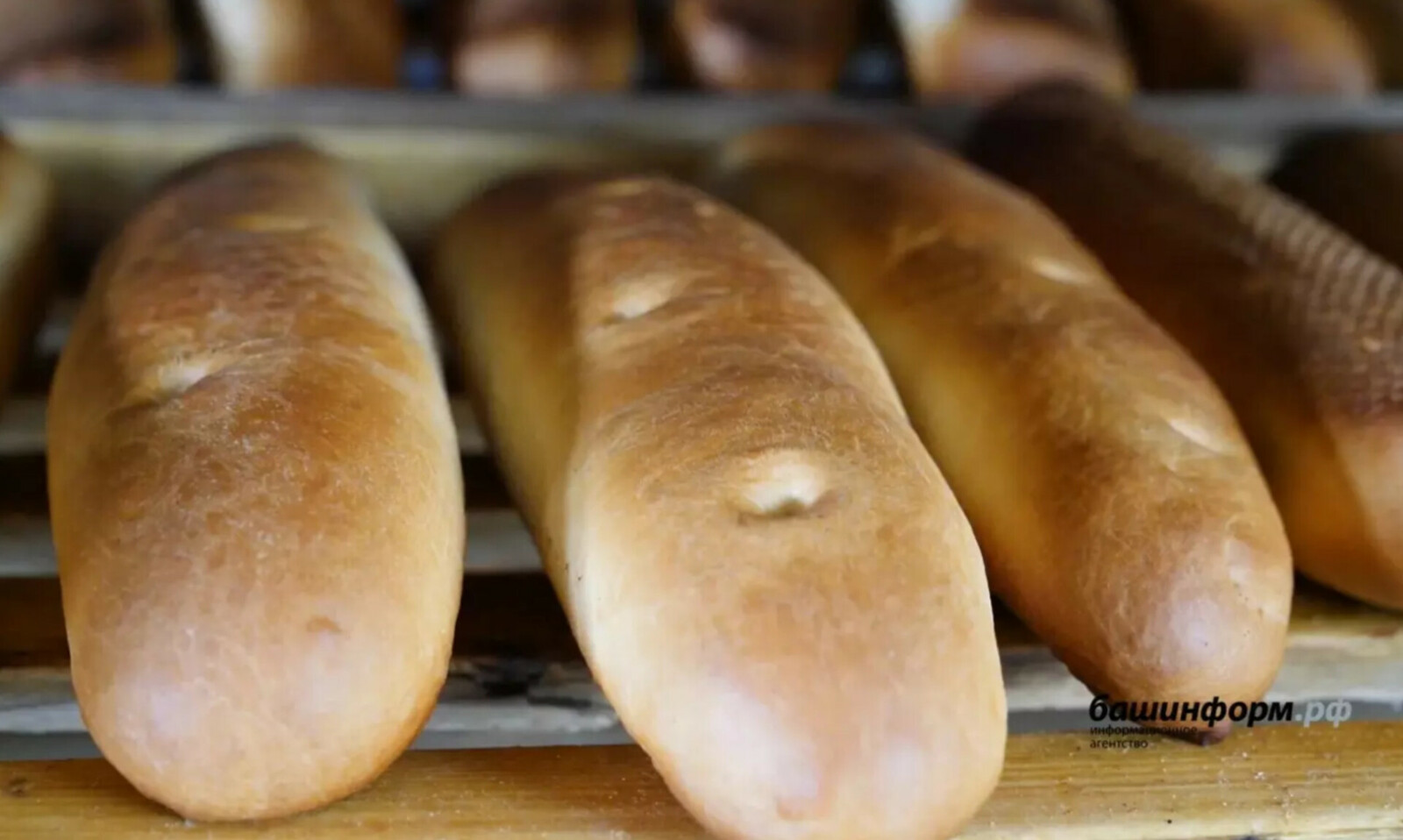 Новый ГОСТ на белый хлеб заработает в России с 1 апреля
